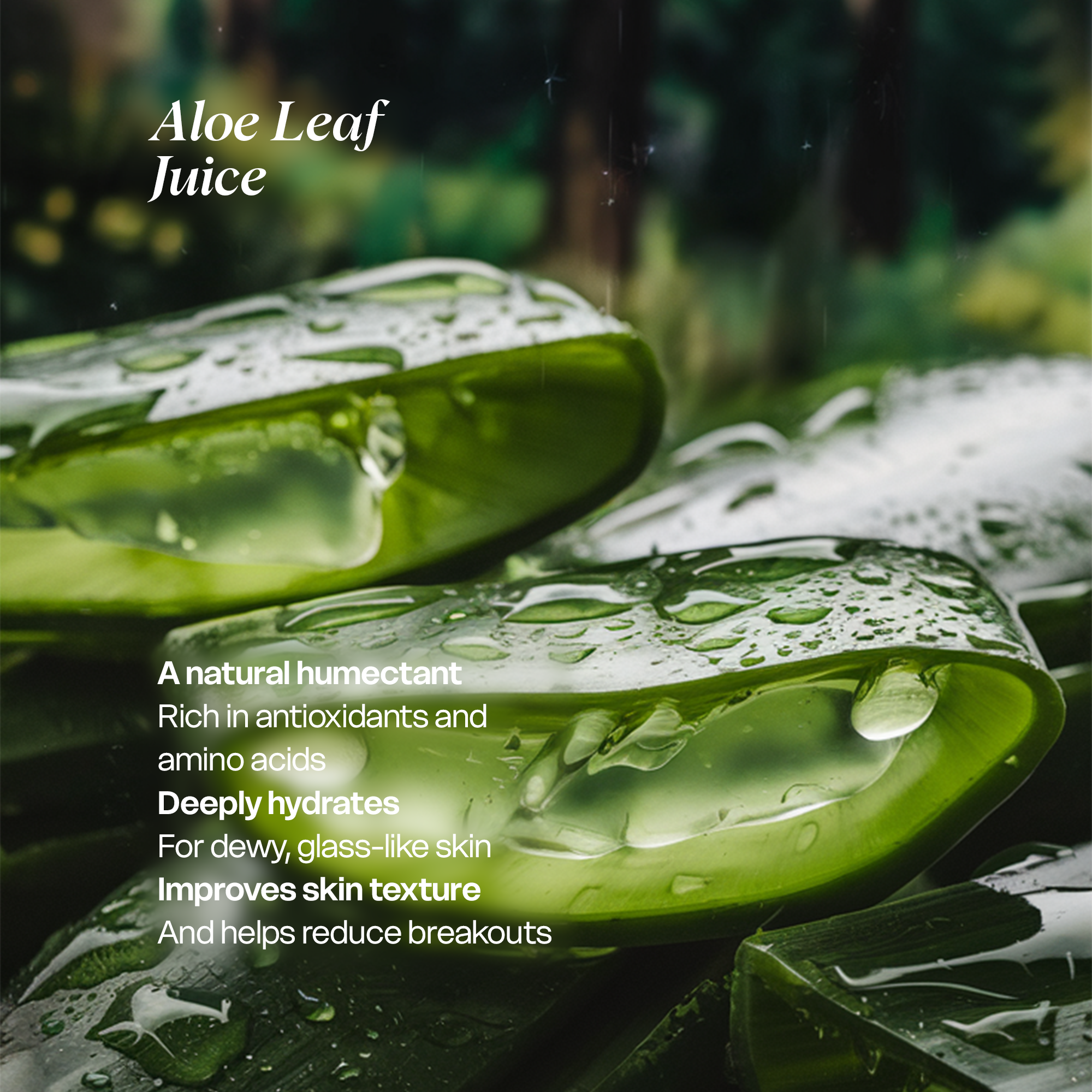Foaming Oil Cleanser